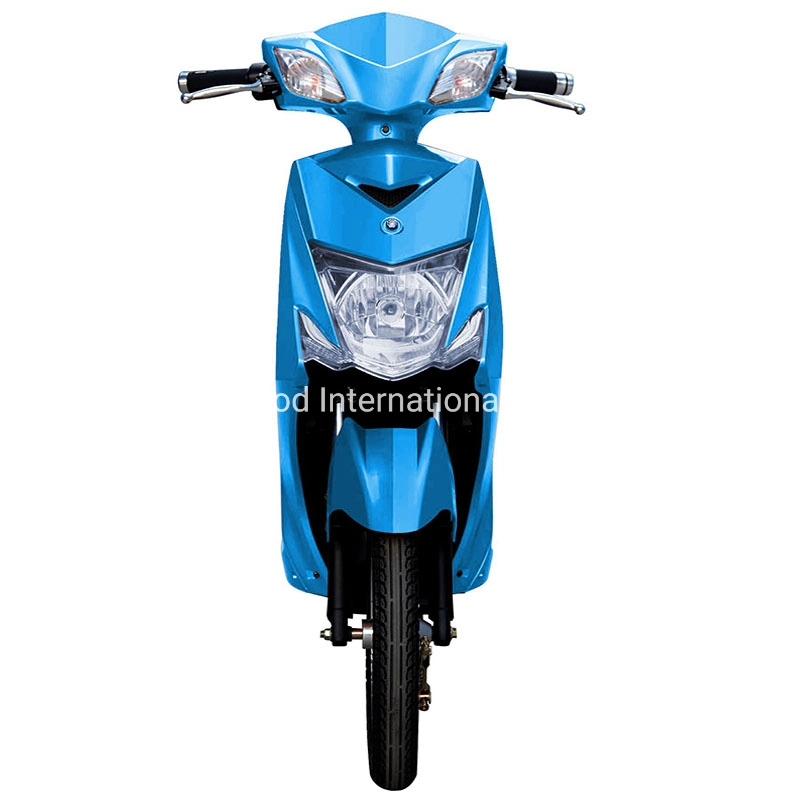 2023 New Cheap Ebike Electric off Road Bike for Sale