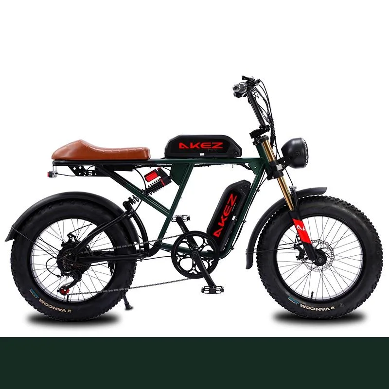 20*4,0 pulgadas Retro Electric Dirt Bike 48V larga duración de la batería Bicicleta de montaña eléctrica se puede mejorar con baterías dobles