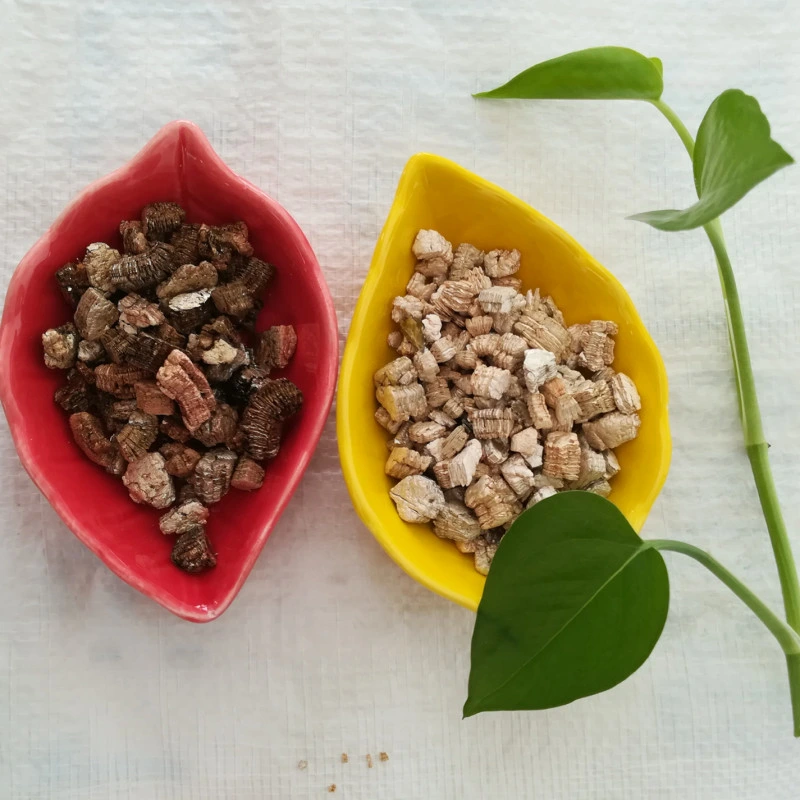 Granel Horticultura Ouro Perlite vermiculita