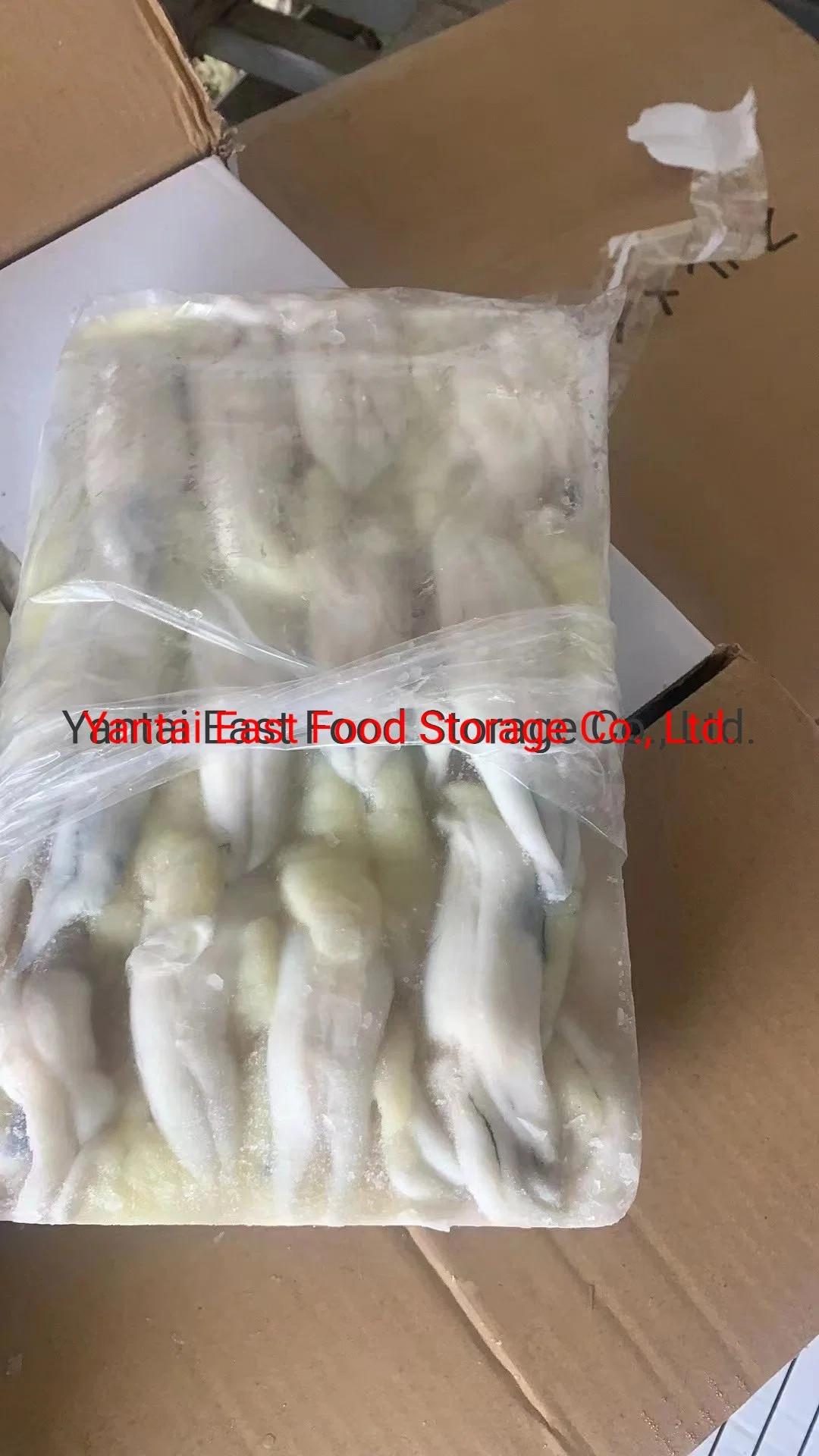 Frozen Illex Squid Roe, Bqf, Seafood