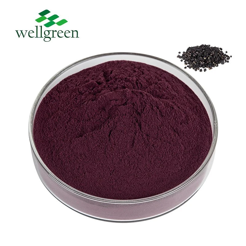 Chinese Dried Goji Berry Organic Fruit Tea Anthocyanidins Black Wolfberry Extract Powder