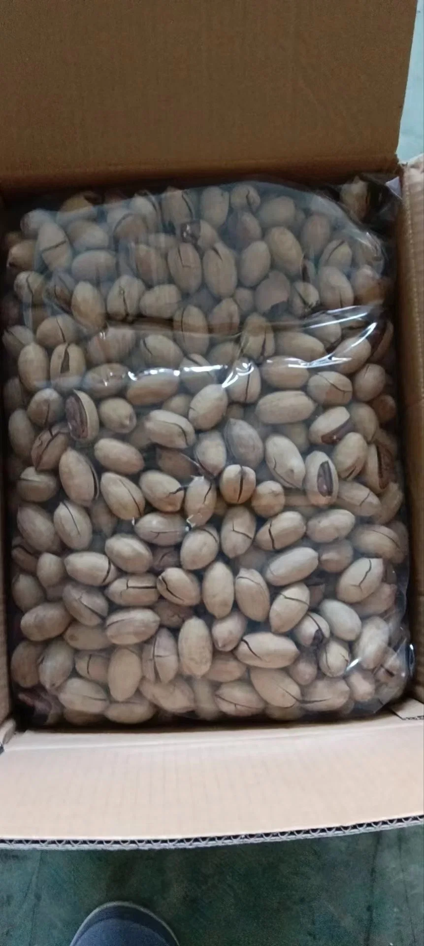 Roasted Bleached Pecans Directly Sale Factory