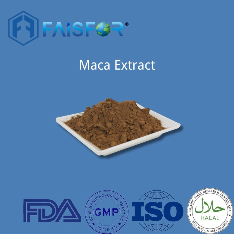 High Quality Red Maca Root Extract Powder with Best Price