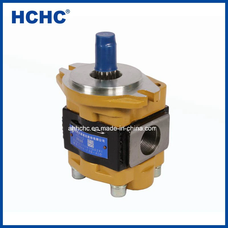 Hot Sale China Hydraulic Gear Pump Cbhv for Heli Forklift