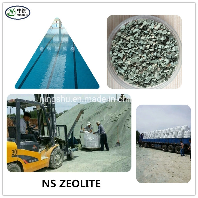 High Quality China Supplier Natural Green Zeolite for Water and Air Treatment