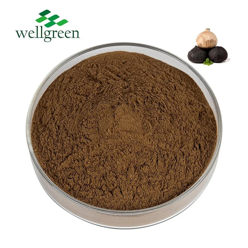 Bulk Pure Natural Nutrition Diet Fermented Polyphenol Powder Black Garlic Extract Alliin 5% Fermented 10% 100% 1% Garlicin Allicin Powder