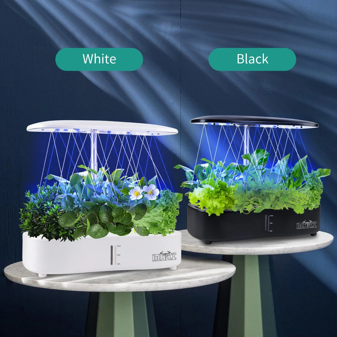 Mari-Hydroline 1 نمو Hydroponic Systems، Hydroproics Herb Starter، Family Herb Garden، Mini Herb Garden