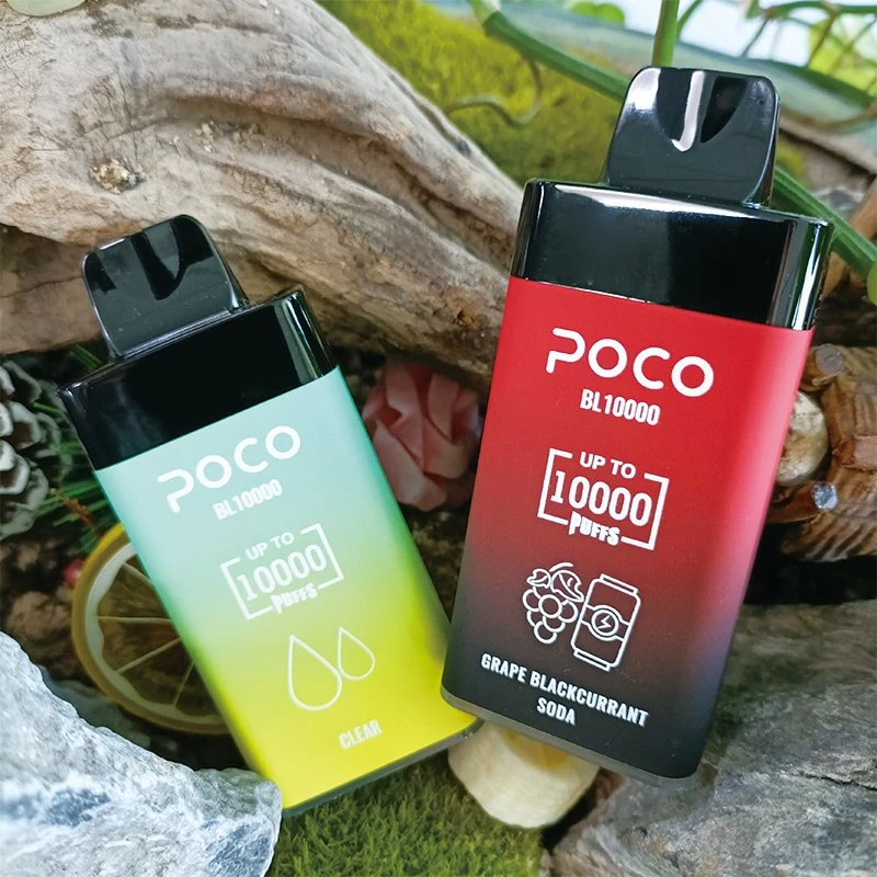 100% Factory Original Poco Bl10000 Disposable Electronic Cigarette Mesh Coil with 15 Flavours Available in Germany Warehouse