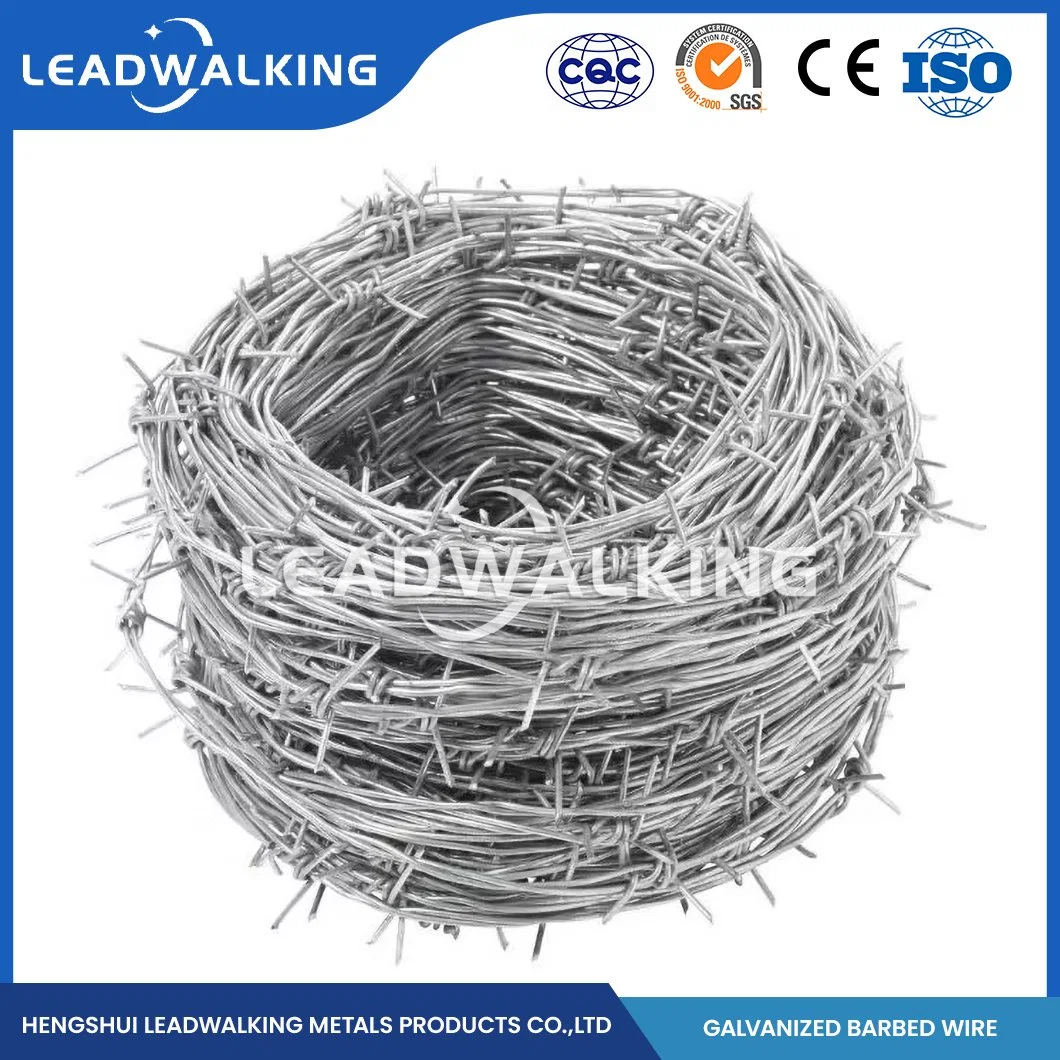 Leadwalking Grassland Barbed Wire Manufacturing Sample Available Flexible Galvanized Razor Barbed Wire China High Strength Hot DIP Galvanized Barb Wire