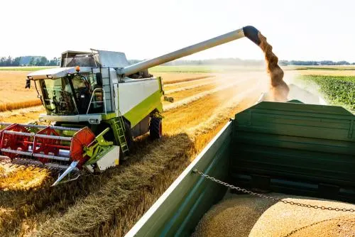 Diesel Engine with Turbocharger for Farming Combine Harvester