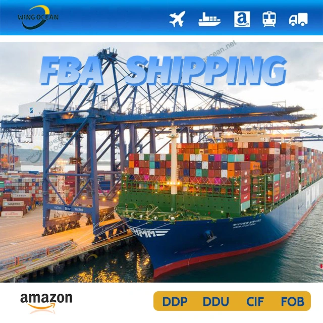 Reliable and Excellent DDP Service Cheap Sea Freight Shipping to France/ Spain/ Italy by China Logistics Forwarder