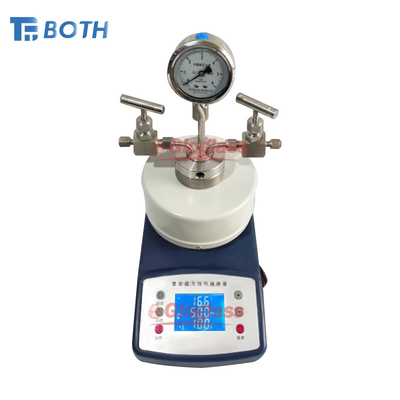 Mini Autoclave High Pressure Stirring Reactor Stainless Steel Pressure Vessel Laboratory