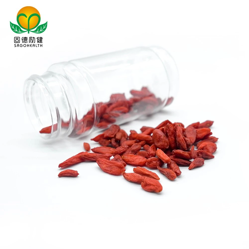 GMP Certified Lower Price Goji Berry