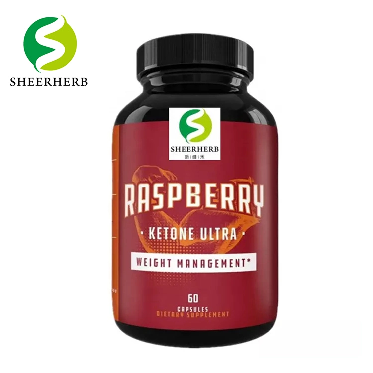 Sheerherb Supply OEM Rslimming Raspberry Ketone Raspberry Ketone Capsules