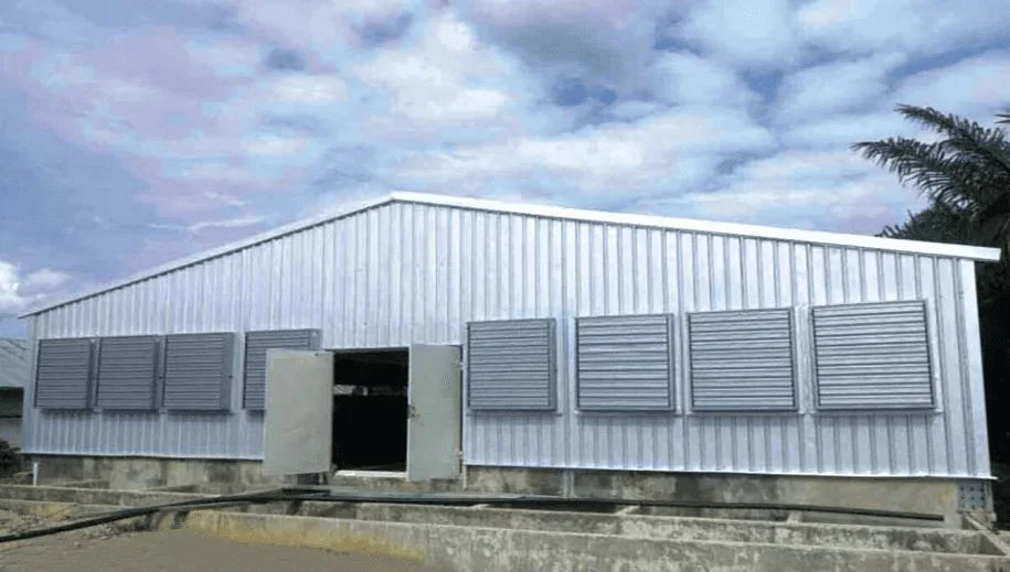 Estructura automática de acero Construcción aves de corral equipos agrícolas jaula modernizada de pollo Coop