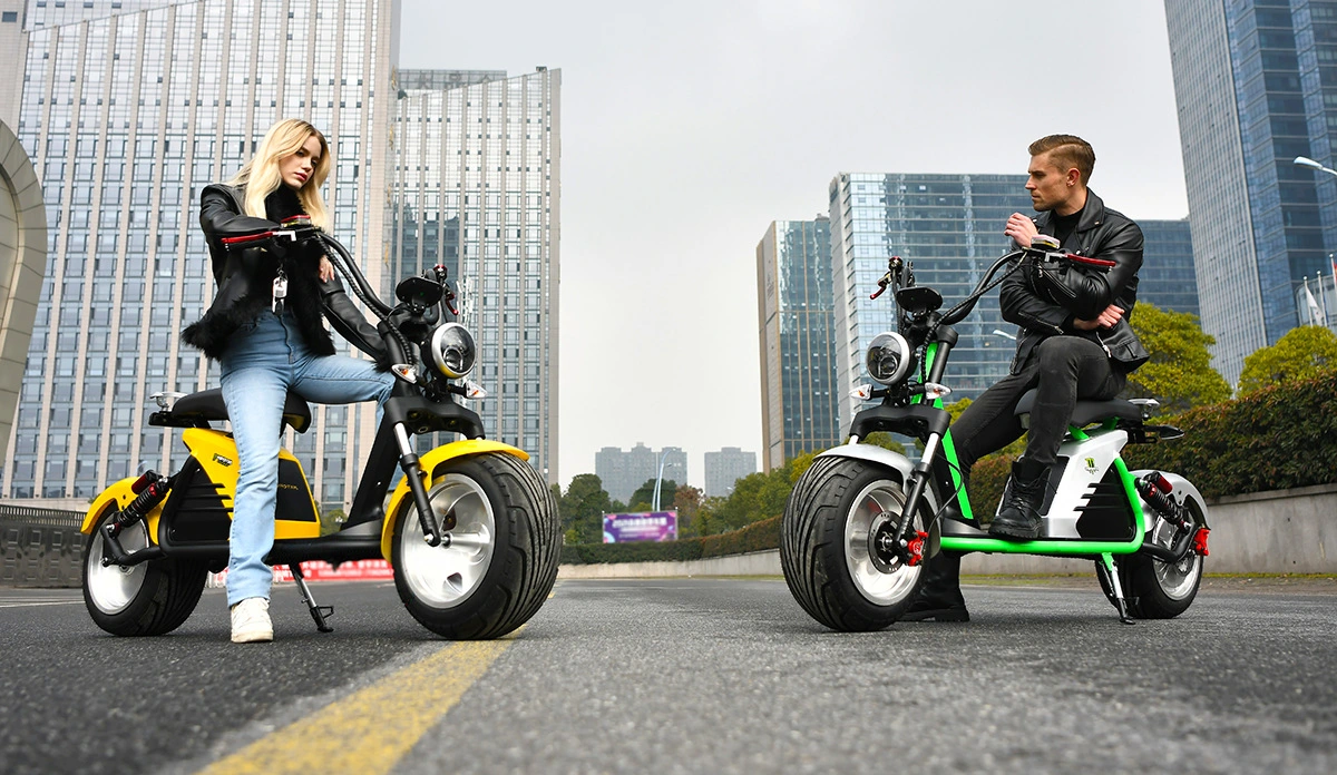 2000W/3000W 10 pouces/12 pouces Scooter électrique Citycoco pour adultes Nouvelle moto électrique EEC.