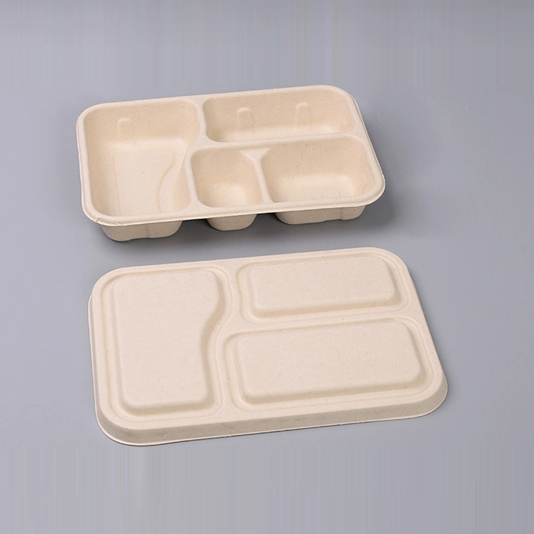 Biodegradable Disposable Sugarcane Food Containers 1-6 Compartments Sugarcane Fiber Pulp Bagasse Lunch Box