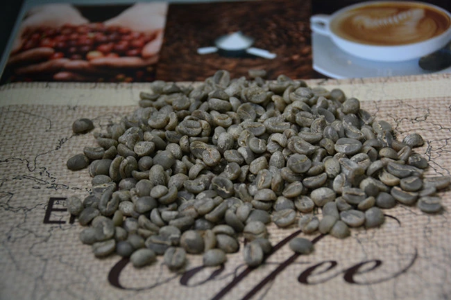 Wholesale/Supplier Arabica Coffee Beans Washed Green Coffee Beans Unroasted Coffee Beans for Food