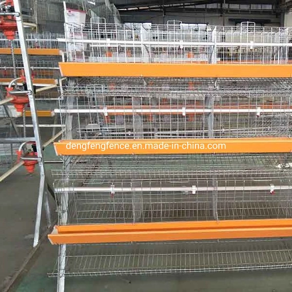 Chicken Cages for Laying Hens Chicken Layer Cage Animal Husbandry Equipment