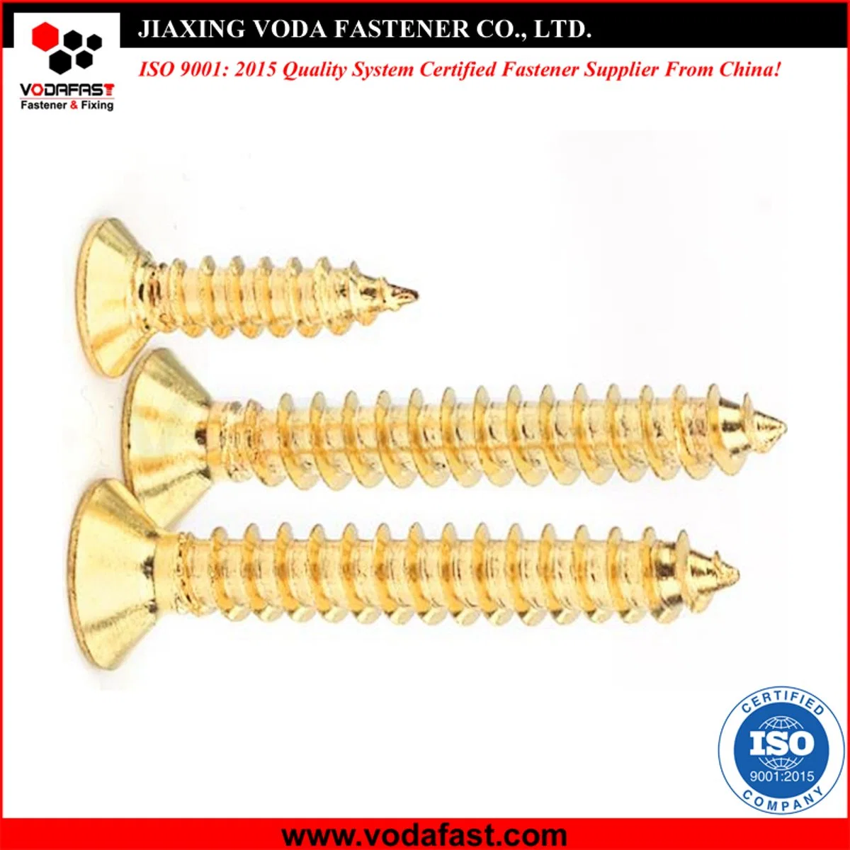 Vodafast Carbon Steel Stainless Steel Self Tapping Screws