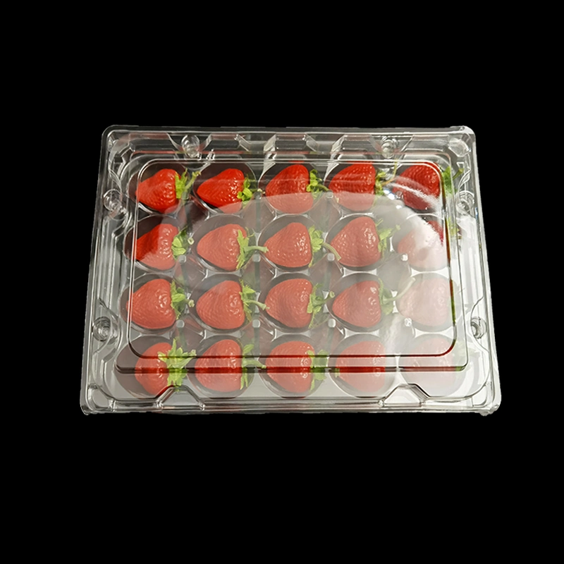 Customize Cherry Fruit Strawberry Disposable Pet Clear Plastic Packaging Box