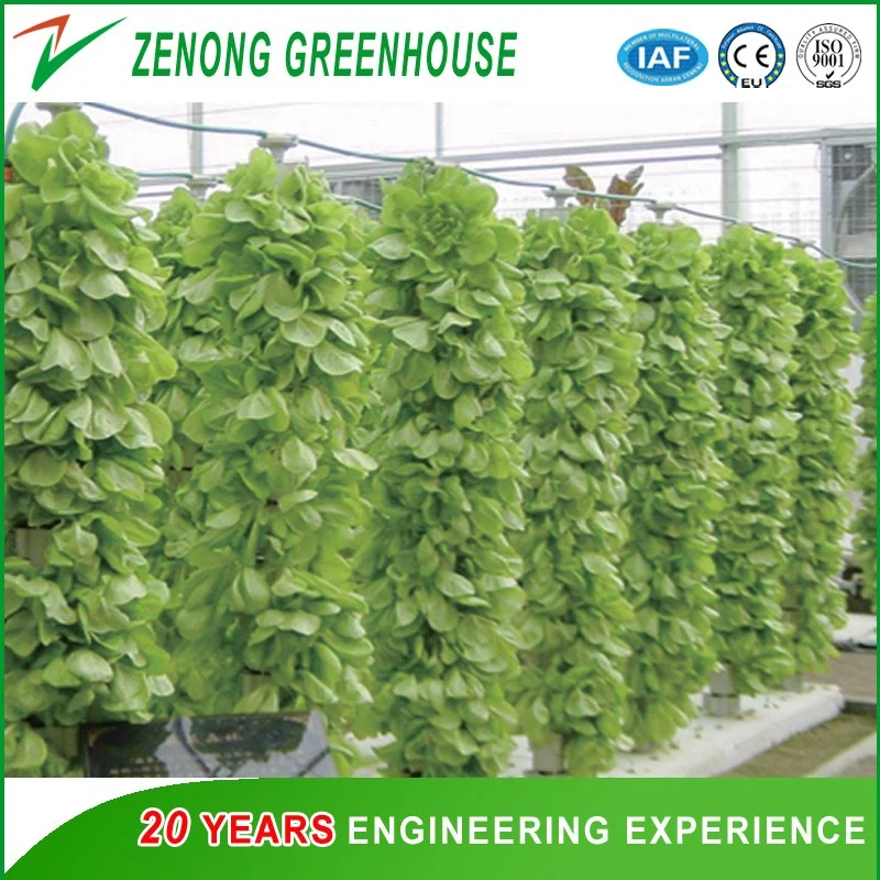 Pillar Type Hydroponics for Leafy Vegetables/Salad/Lettuce/Bitter Chrysanthemum