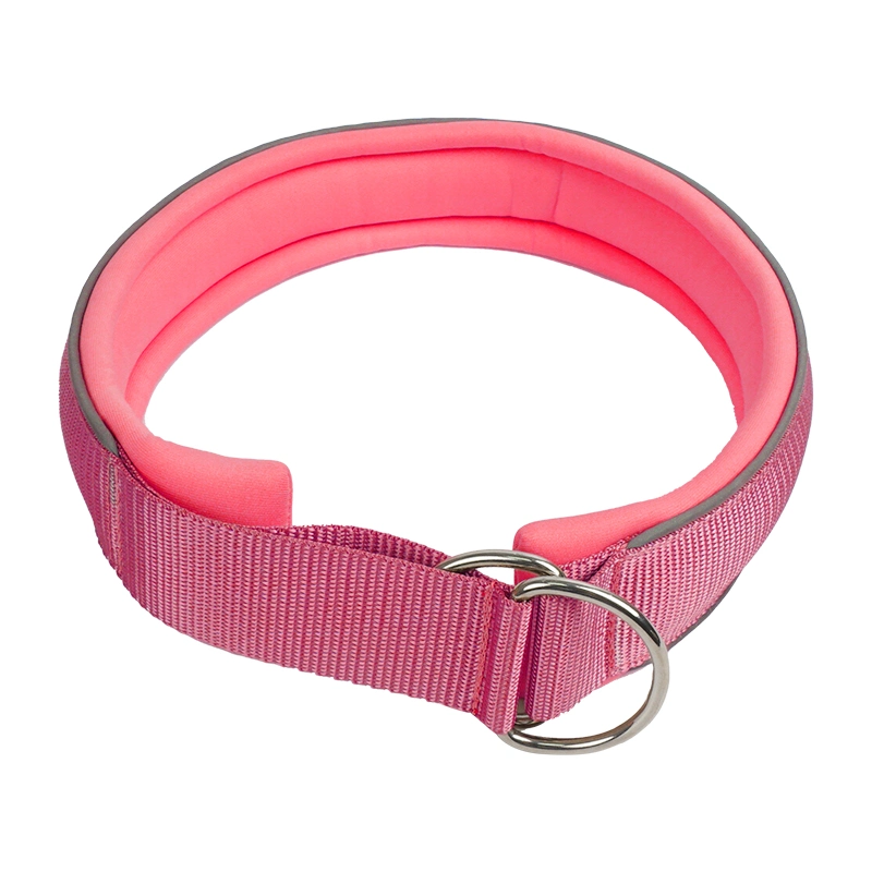 Petisland No Choke Productos para Mascotas Collar de Perro al por Mayor Precio de Fábrica Collar de Entrenamiento Personalizado para Perros Collar de Nylon con Forro Acolchado de Neopreno