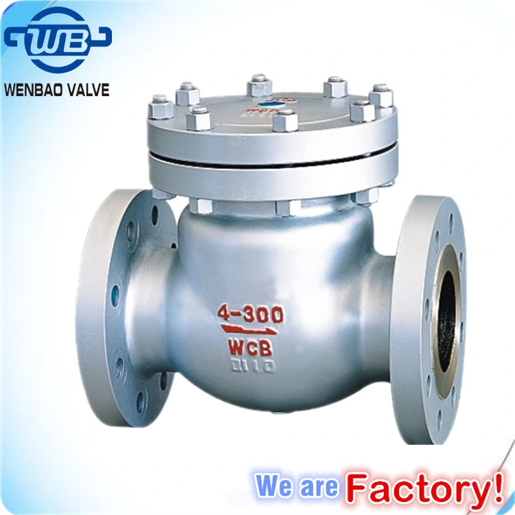 ANSI Low Pressure Female Threaded Stainless Steel Swing Check Valve