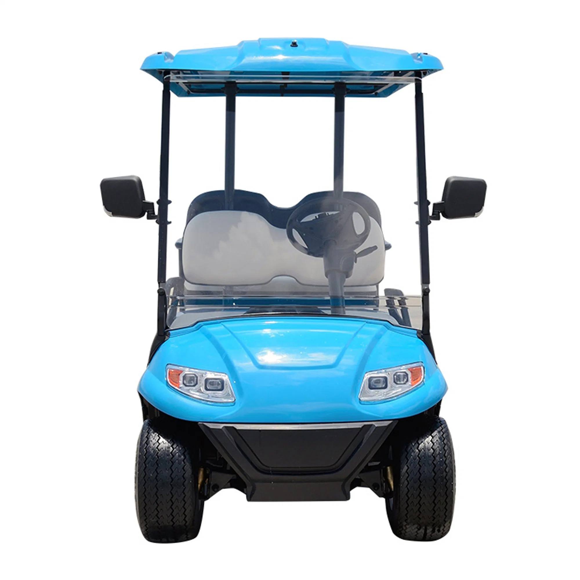 4 plazas Precio Bajo eléctrico personalizado pequeño carro de golf Golf Buggy vehículo eléctrico