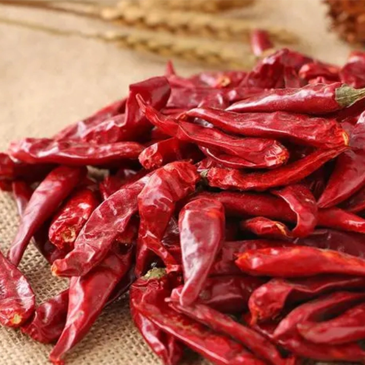 Dried Chili Aromated Dry Chili