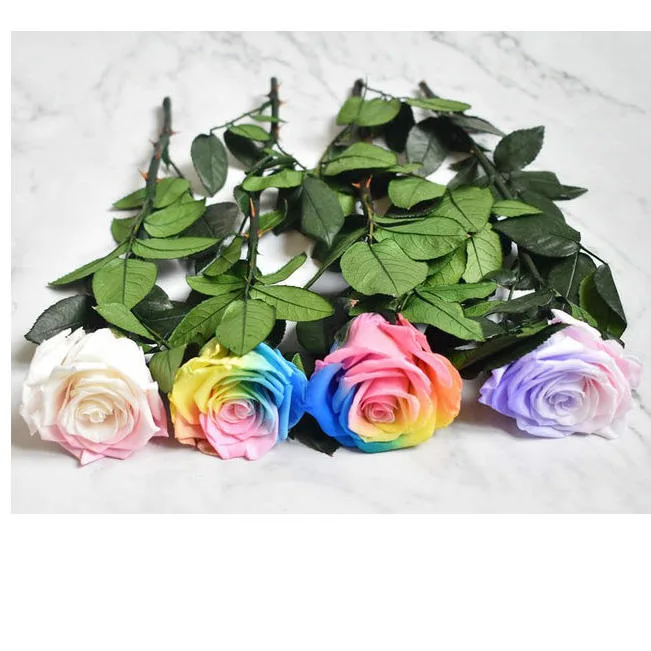 Forever Eternal Rose Preserved Artificial Rose Flower with Stem 8-9cm Real Touch Flowers Plastic Flower Fresh Cut Flower