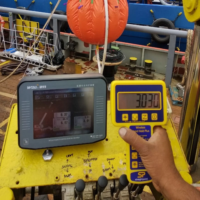 Atex-Certified Smart Offshore Crane Safe Load Indicator System Manufacturer for Favco Crane