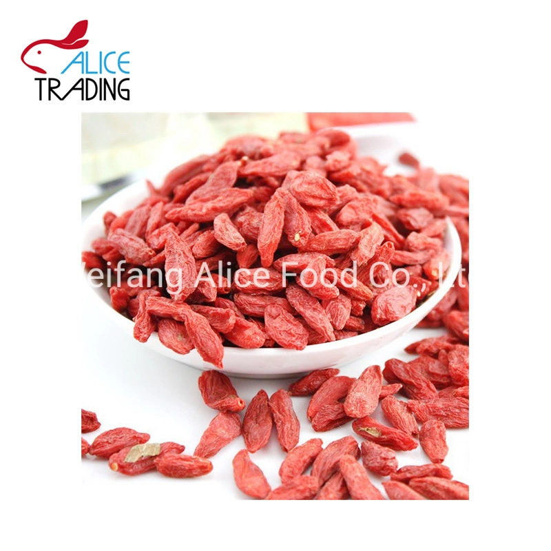 Wholesale/Supplier Health Food Dried Goji Berry Dry Goji 100% Natural Goji