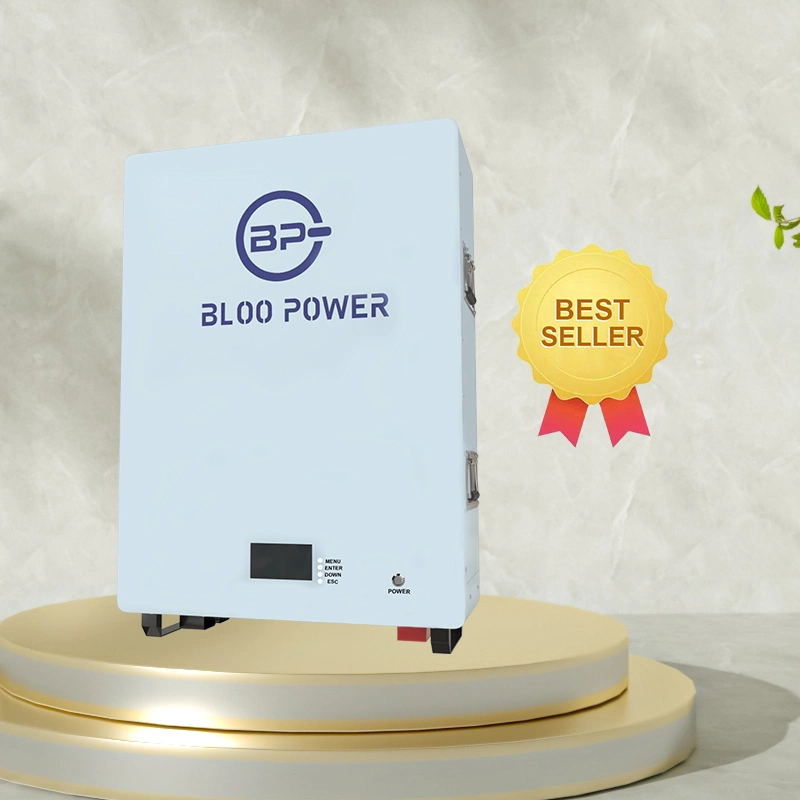 Bloopower 5kw off Grid Lithium Batteries for Home Wall System USB Solar Charger Bank Long Life Fast Charging Energy Stoarge Battery