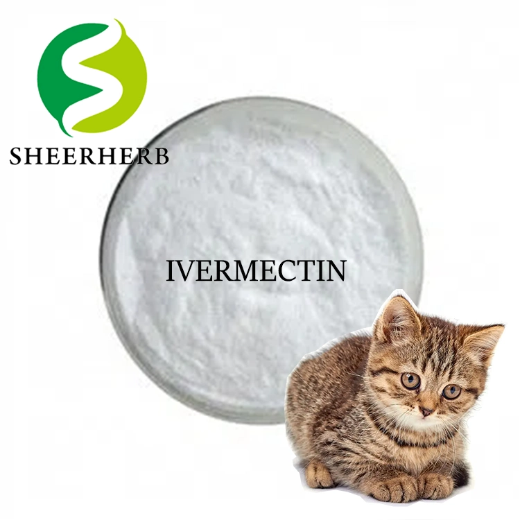 Meilleur prix 99.9% Pure Ivermectin comprimés cas 70288-86-7 livraison rapide