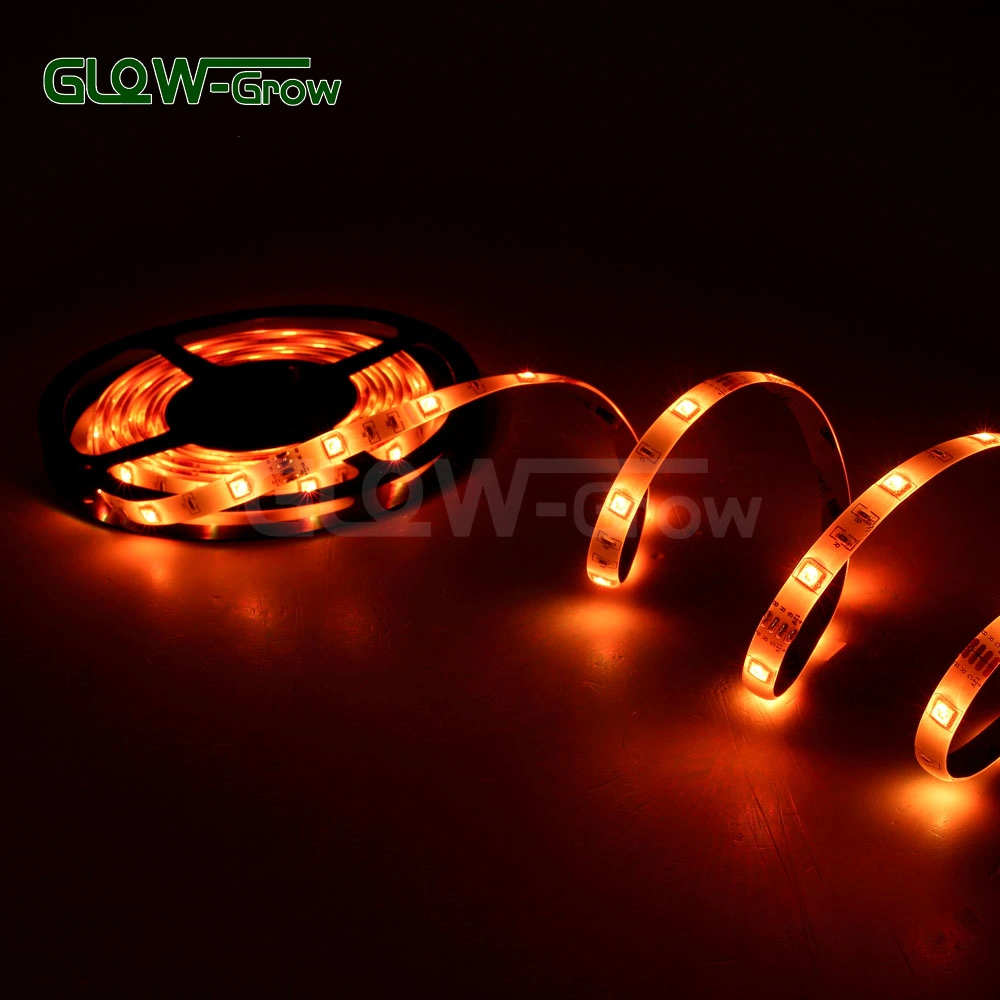 10m 30LEDs/M 3.6W/M 12V/24V Flexible SMD RGB LED Light Strip for Bar Wedding Home Christmas Decoration