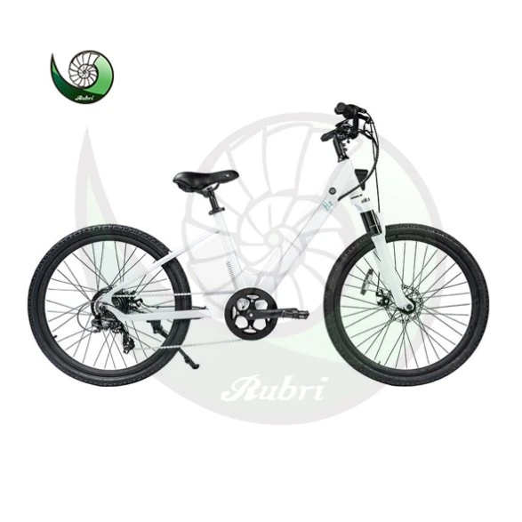 Fashion Hydrogen Bike Hydrogen Fuel Cell Bicycle with Good Quanlity