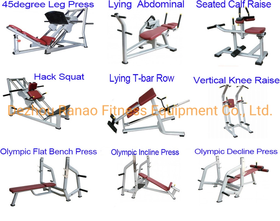 Factory Direct Produce Gym Equipment Body Building Exercise Calf Muslce Calf Extension/Seated Calf Raise Sports Equipment