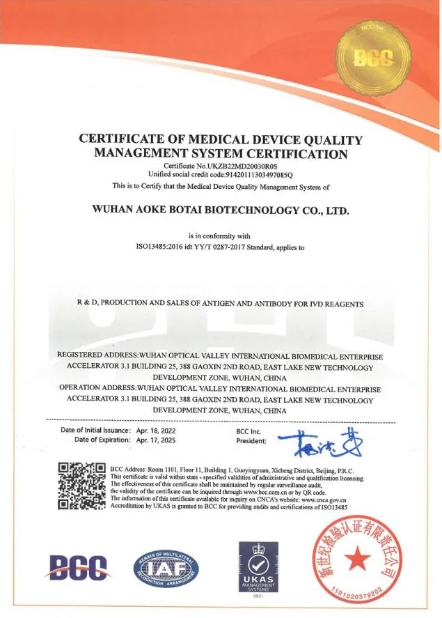 Proteína recombinante crecimiento de placenta F/PGF/PIGF (C-6His)