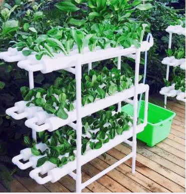Hydroponic Grow Kit Water Culture Garden Plant System Leafy Vegetables Lettuce Herb Hydroponics Growing System