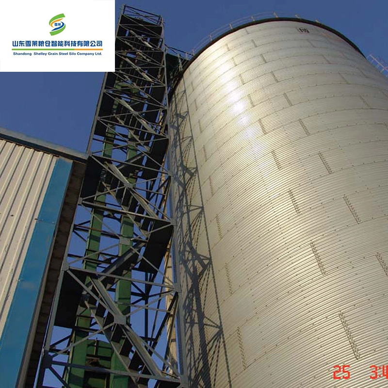 Granja avícola utiliza el maíz grano de trigo elevador de cucharón con alta eficiencia