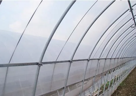 Agricultural Green House Multi-Span Polycarbonate Greenhouse with Hydroponic Planting System for Tomato