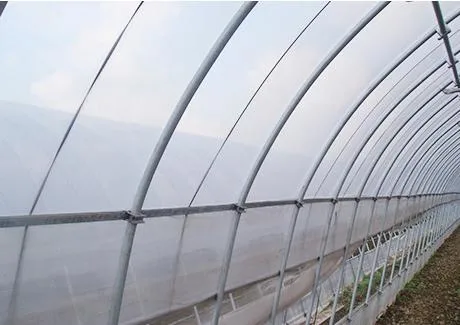 Casa Verde Agrícola Multi-Span invernadero de policarbonato con sistema de plantación hidropónico Para Tomato