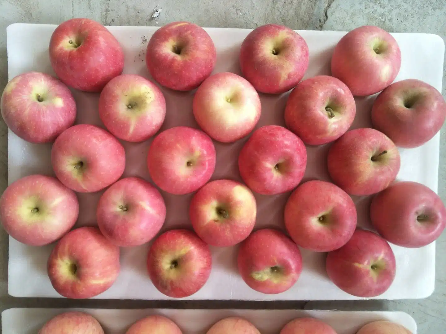 La Chine Des fruits frais Red Fuji Apple