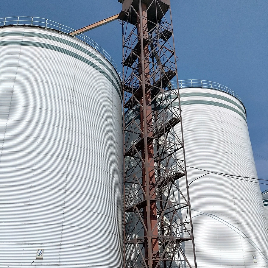 Equipo de la fábrica de aves de corral 100-10000 Ton Hopper Bottofed Silos de acero con Secador de grano