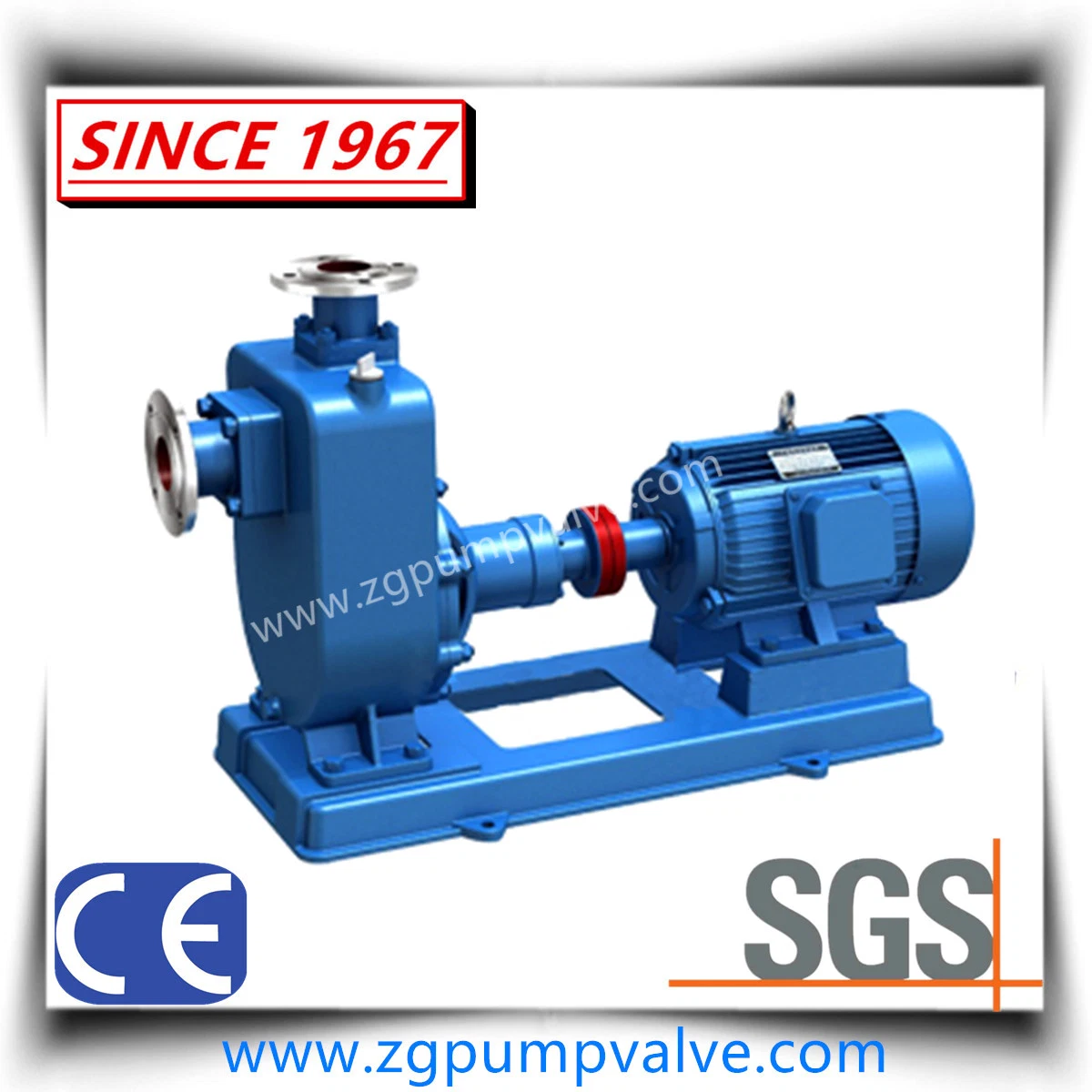 China Hochwertige Horizontale Edelstahl Selbstansaugende Magnetische Pumpe Absolut kein Leck/keine mechanische Dichtung mit CE-Zertifikat