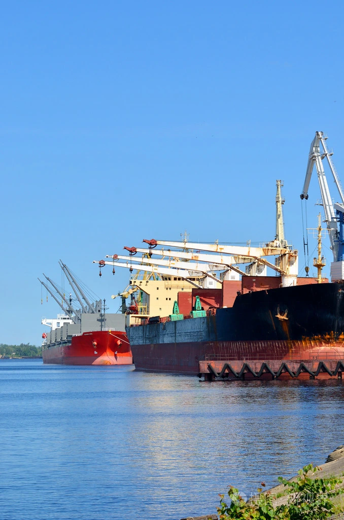 Compañía de Transporte de carga del Mar Internacional con el Transportista de carga de China A Noruega