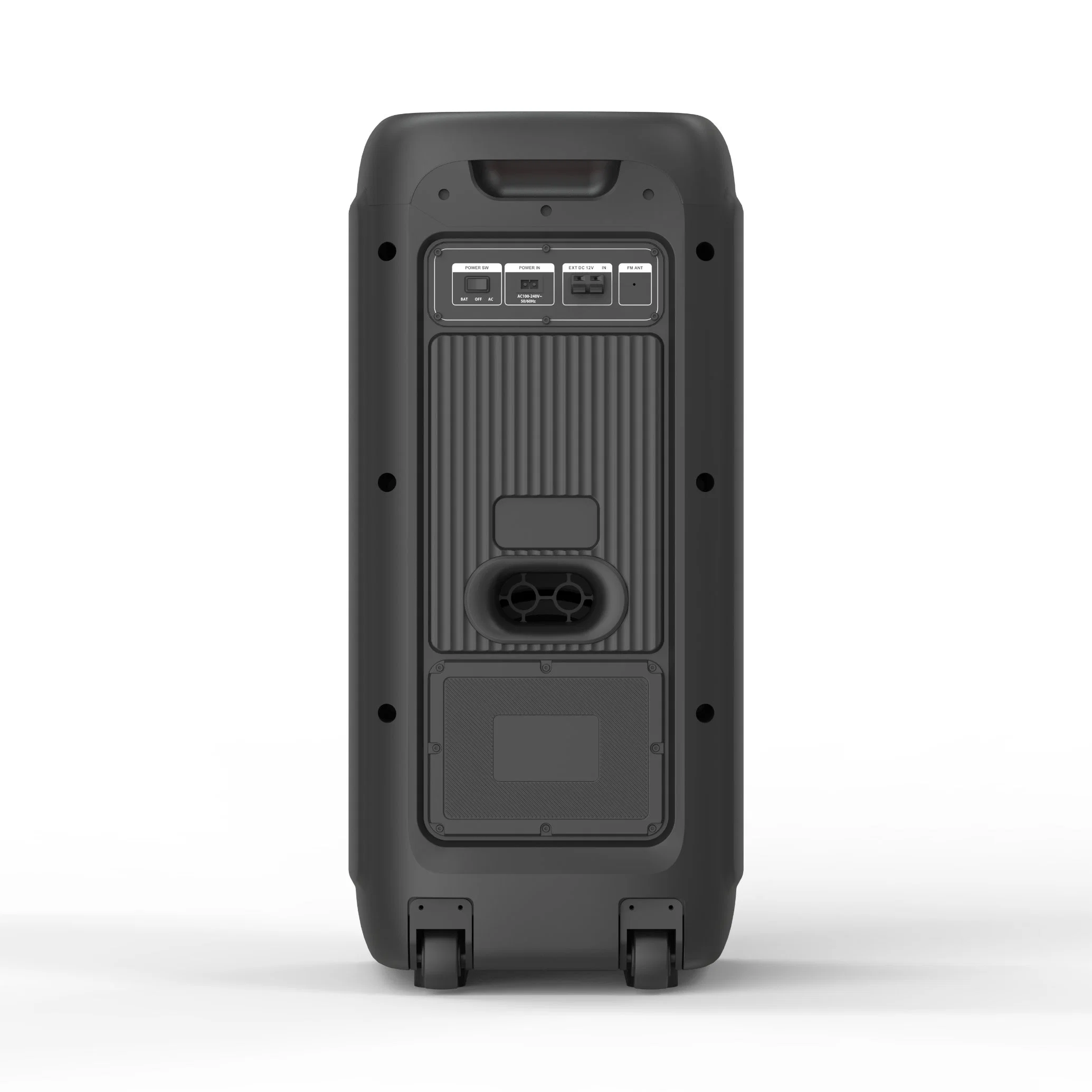 Le plus récent produit privé Dual 8 pouce de haut-parleur passif DJ Case Système de haut-parleurs portable Bluetooth avec le feu la lumière