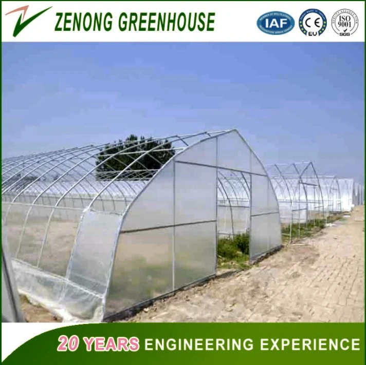 UV Treated Durable Plastic Film Covered Greenhouse for Agriculture Cultivation/Hydroponics/Growing Vegetables/Fruits/Flowers