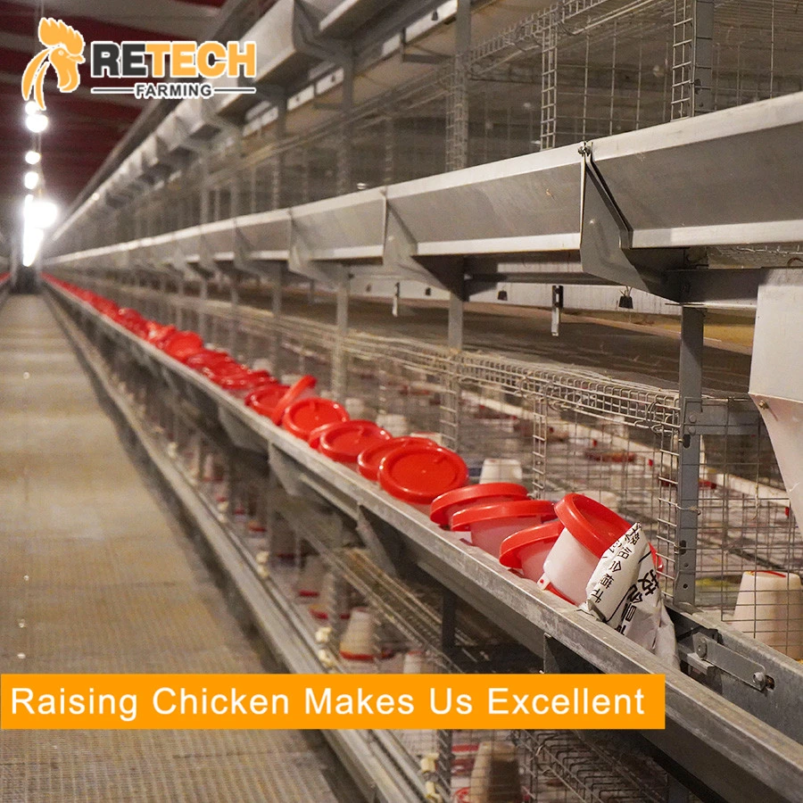 Automatic Chicken Farm Equipment for Layer/Broiler/Pullet